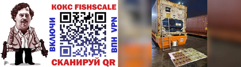 купить закладку  Змеиногорск  MEGA вход  Cocaine Fish Scale 