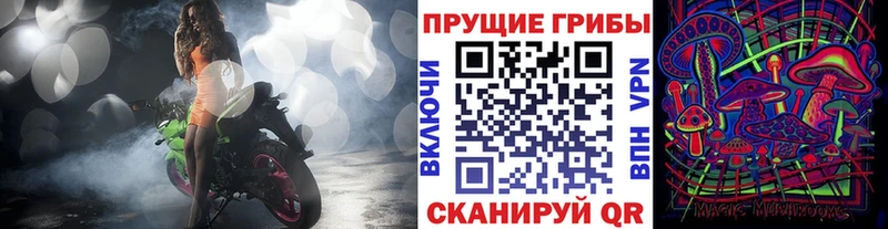 Галлюциногенные грибы Cubensis  OMG зеркало  Змеиногорск 